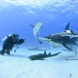 Meet your Posher, Jesse